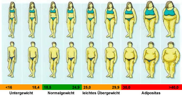 24 frau bmi BMI Calculator